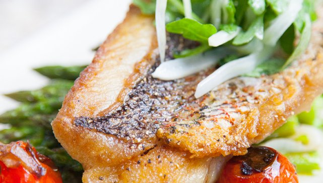 Image for restaurants in coconut grove with ID of: 1129368