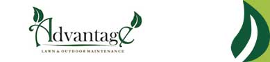 Image for Advantage Lawn & Outdoor Maintenance with ID of: 1130015