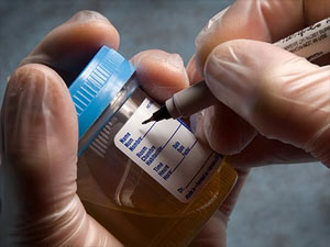 Image for ARCpoint Labs of Gainesville with ID of: 1131113