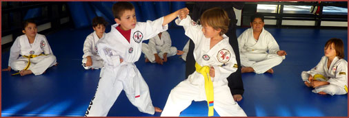 Image for Jun Chong Martial Arts Center with ID of: 1131213