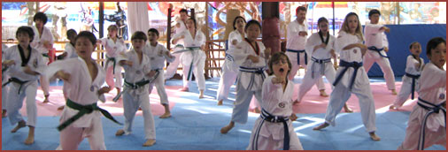 Image for Jun Chong Martial Arts Center with ID of: 1131217