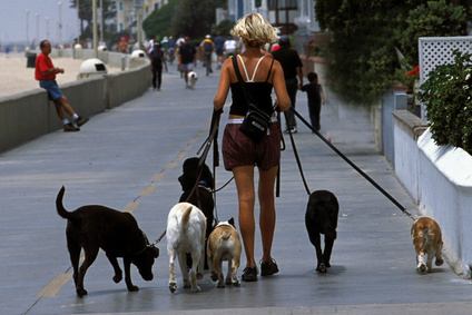 Image for Like Family Pet Sitting with ID of: 1131286