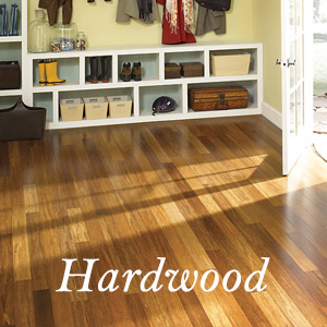 Image for Countryside Carpet & Paint with ID of: 1132208