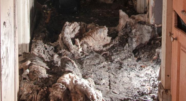 Image for Reliable Restoration LLC with ID of: 1132678