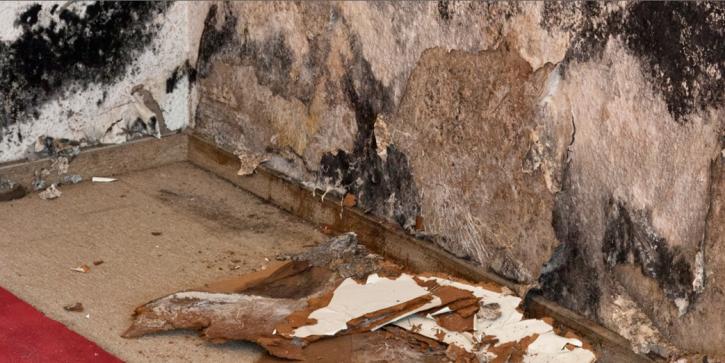 Image for Reliable Restoration LLC with ID of: 1132696