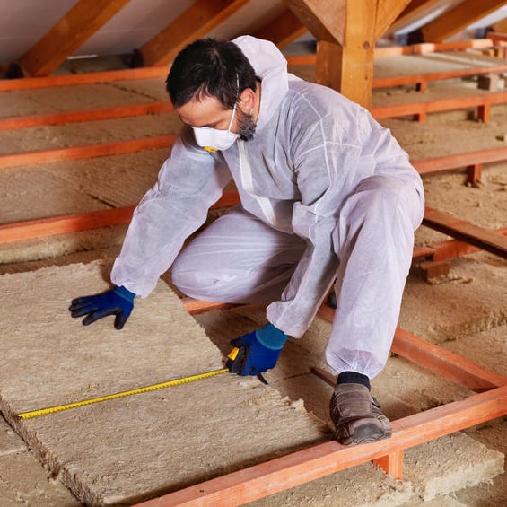 Image for The Insulation Man with ID of: 1133334