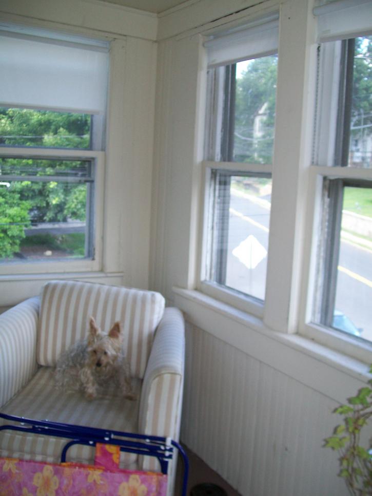 Image for Bloomfield 2 BR Rental -- Pets Allowed with ID of: 113349