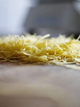 Image for Spinasse with ID of: 1135500