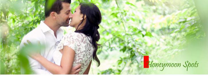 Image for Kerala Tour packages with ID of: 1135606