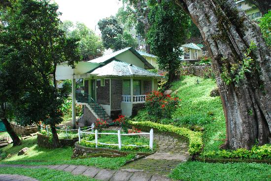 Image for Munnar Resorts with ID of: 1135610