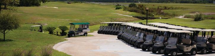 Image for hamptongolfmanagement with ID of: 1135957