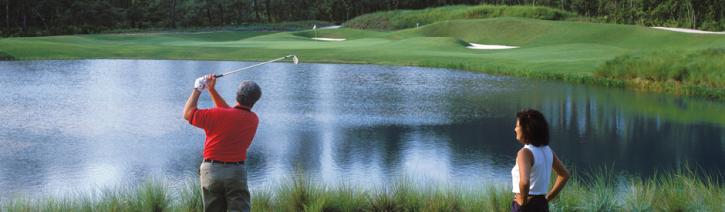 Image for the palencia club with ID of: 1136751