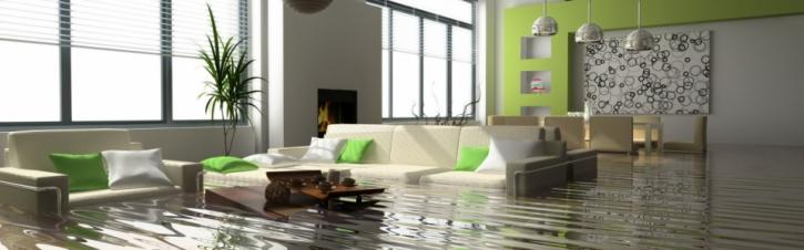 Image for ECOS Environmental & Disaster Restoration Inc. with ID of: 1136934