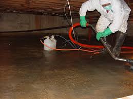 Image for Trust Restoration Inc. with ID of: 1138248