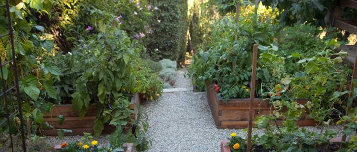 Image for Mini Farm Box with ID of: 1138977