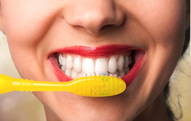 Image for Pro Dental with ID of: 1140221