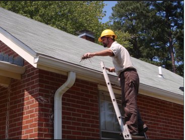 Image for Lakewood Gutter Cleaning Services with ID of: 1140440
