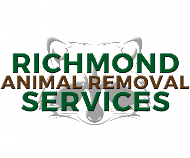 Image for Richmond Animal Removal Services with ID of: 1142471