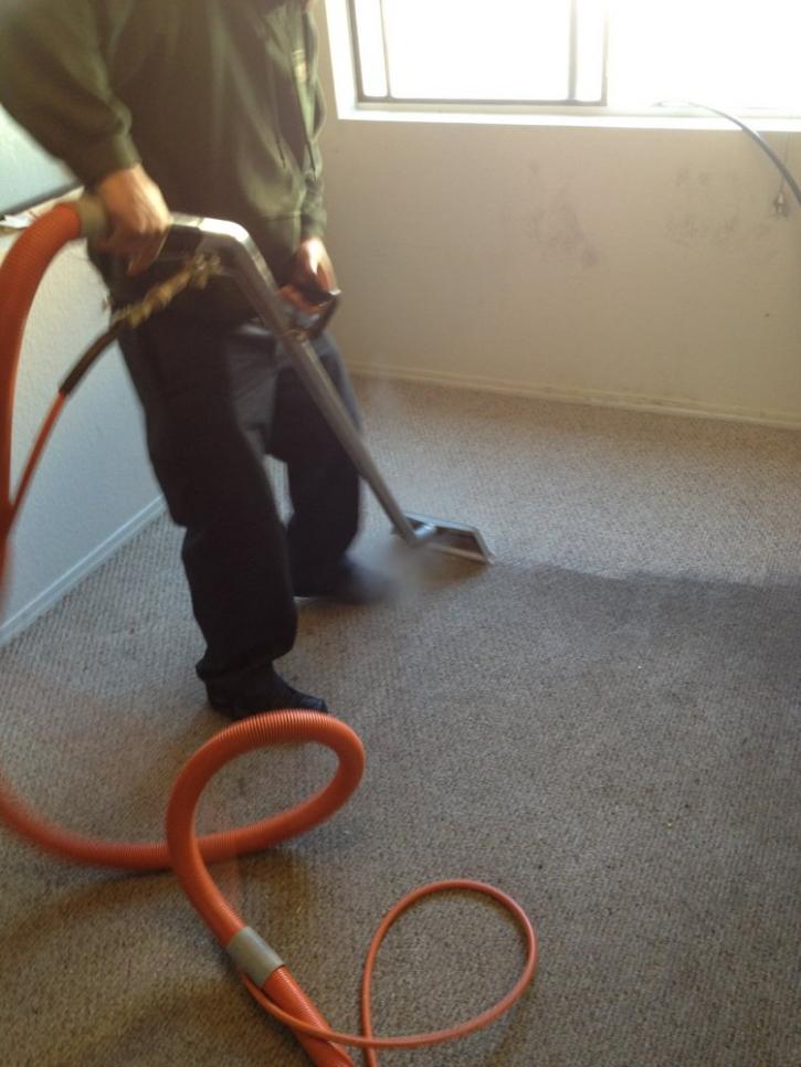Image for Ultimate Carpet Cleaning with ID of: 1143480