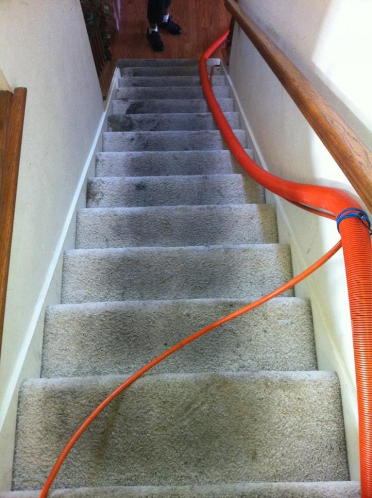 Image for Ultimate Carpet Cleaning with ID of: 1143482