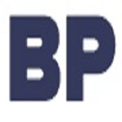 Image for Boston Painter with ID of: 1143970