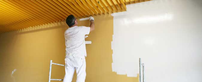 Image for Boston Painter with ID of: 1143975