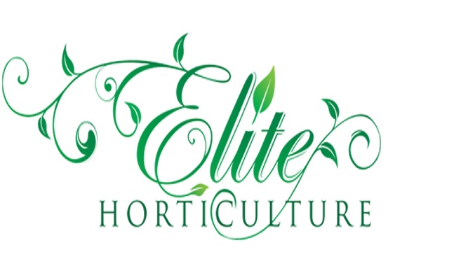Image for Elite Horticulture Services with ID of: 1144689