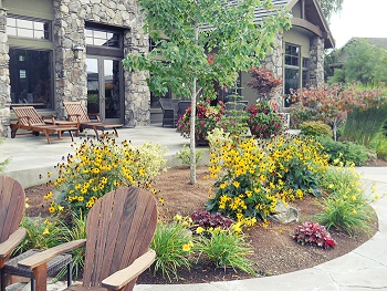 Image for Elite Horticulture Services with ID of: 1144693