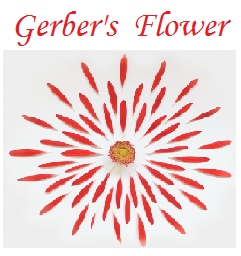 Image for Gerber's Flower with ID of: 1144696
