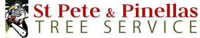 Image for St. Pete & Pinellas Tree Service with ID of: 1145423