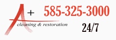 Image for A Plus Cleaning and Restoration Inc. with ID of: 1145990
