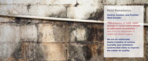 Image for A Plus Cleaning and Restoration Inc. with ID of: 1145996