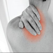 Image for Insight Health & Wellness with ID of: 1146015