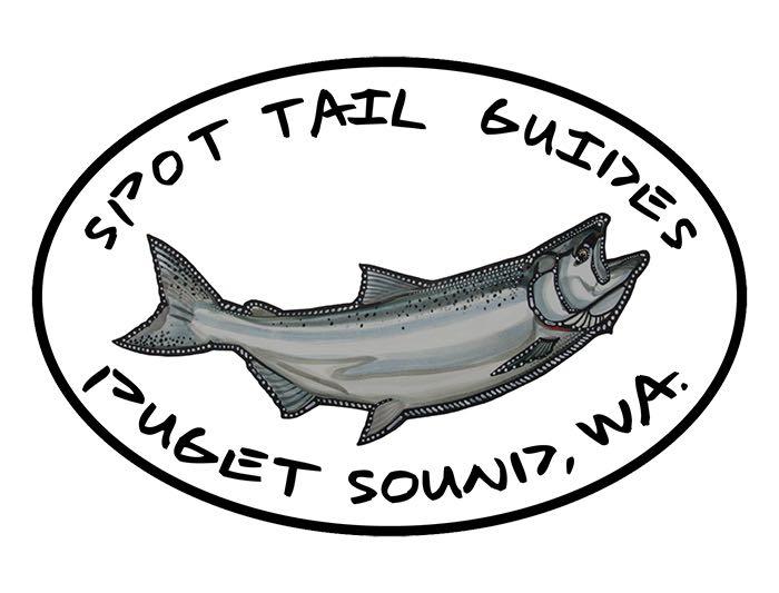 Image for A Spot Tail Salmon Guide with ID of: 1146966