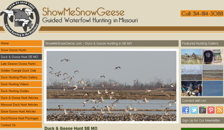 Image for showme snow geese with ID of: 1148501
