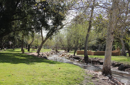 Image for Escondido's Best Tree Service with ID of: 1151628
