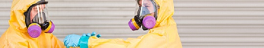 Image for Mold Removal Masters with ID of: 1153431