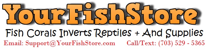 Image for YourFishStore with ID of: 1153627