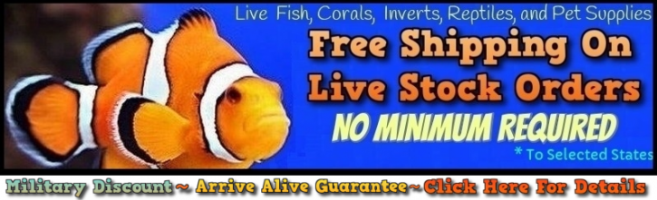 Image for YourFishStore with ID of: 1153703