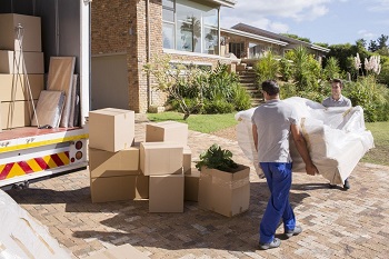 Image for Movers Best with ID of: 1154540