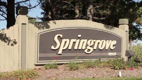 Image for Springrove with ID of: 1155124