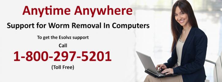 Image for Support for Worm Removal in Computers with ID of: 1156450