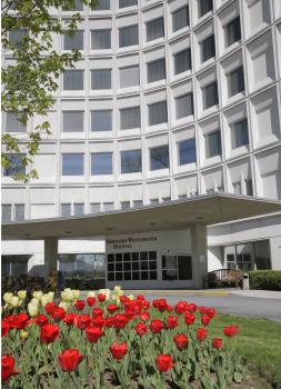 Image for Northern Westchester Hospital with ID of: 1157115