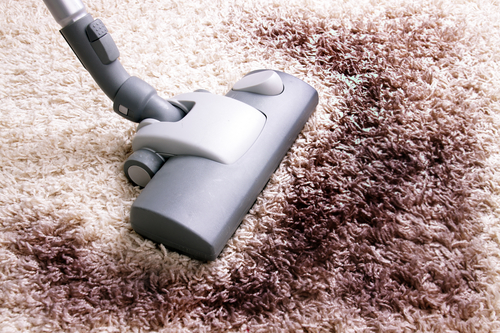 Image for The Best Simi Valley Carpet Cleaning Team with ID of: 1157355