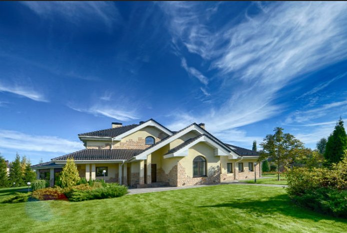 Image for Best Tree Care Kingwood with ID of: 1157515