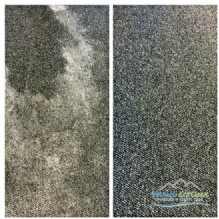 Image for Pinnacle Eco Clean with ID of: 1158712