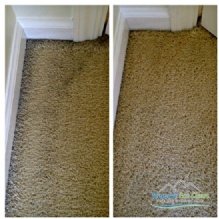 Image for Pinnacle Eco Clean with ID of: 1158713
