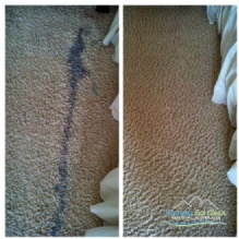 Image for Pinnacle Eco Clean with ID of: 1158715