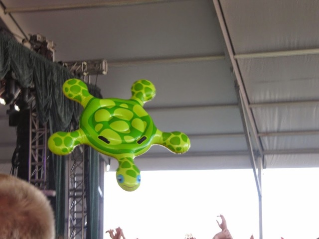 Image for Terrapin Physical Therapy with ID of: 1159572