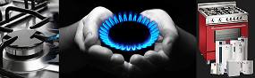 Image for Energized Gas Inc with ID of: 1159597